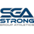 强大集团logo